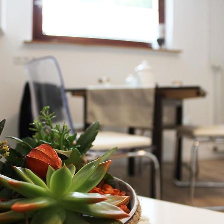 Ferienwohnung Landlust Wolfenbuettel Denkte Εξωτερικό φωτογραφία